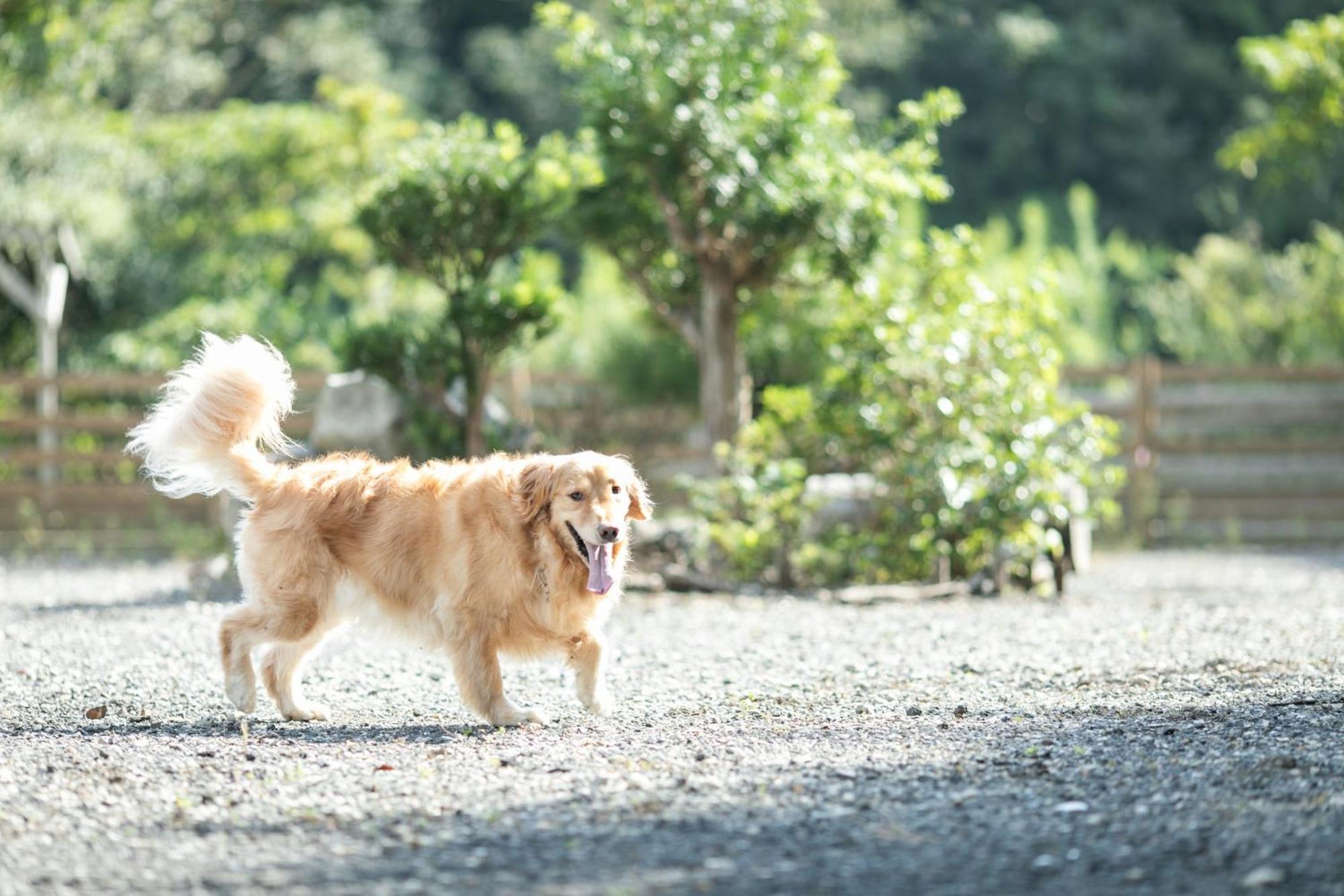 Fiore Shima Shima  Exterior photo